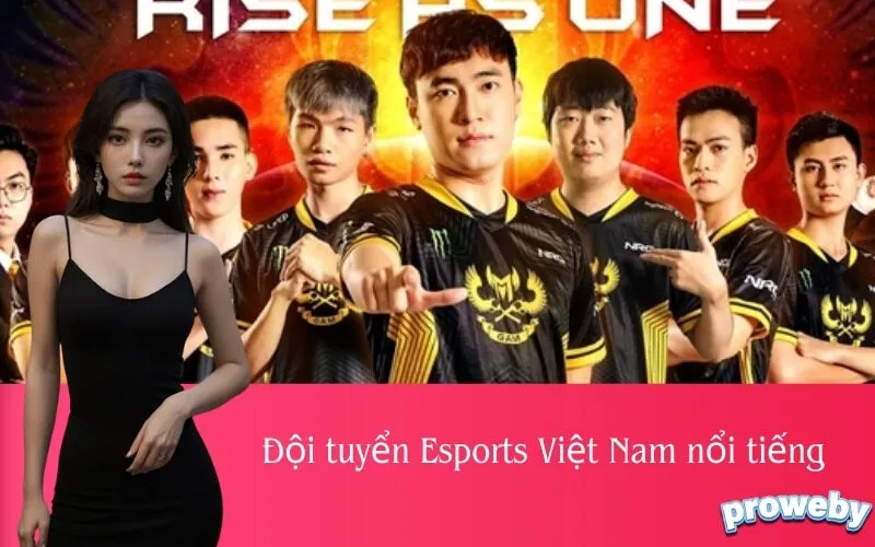 Đội tuyển Esports Việt Nam nổi tiếng