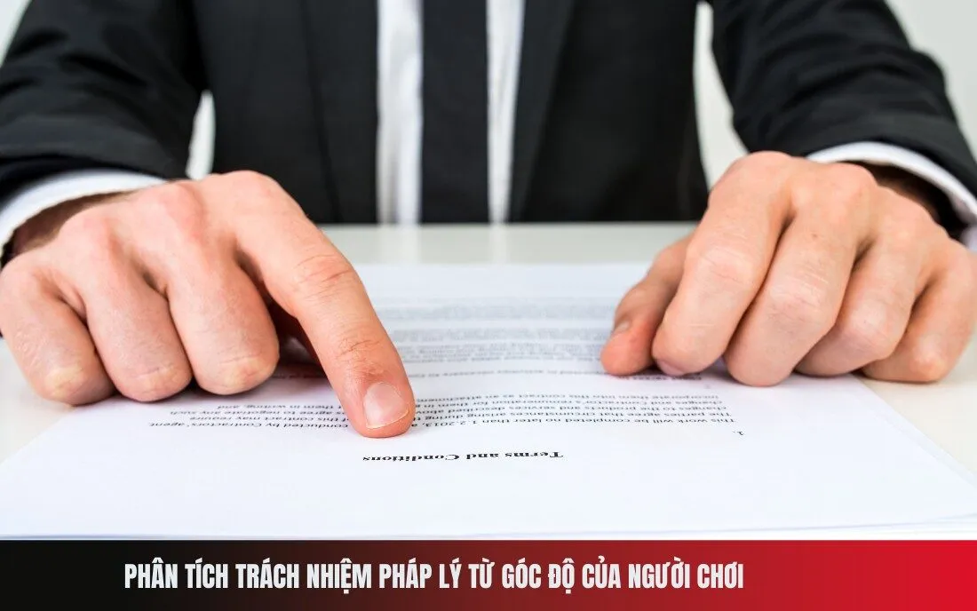 Phân tích trách nhiệm pháp lý từ góc độ của người chơi