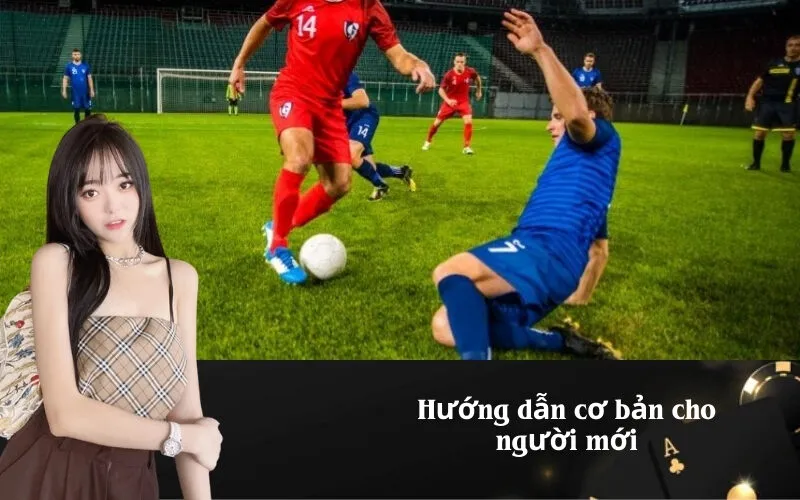 Hướng dẫn cơ bản cho người mới