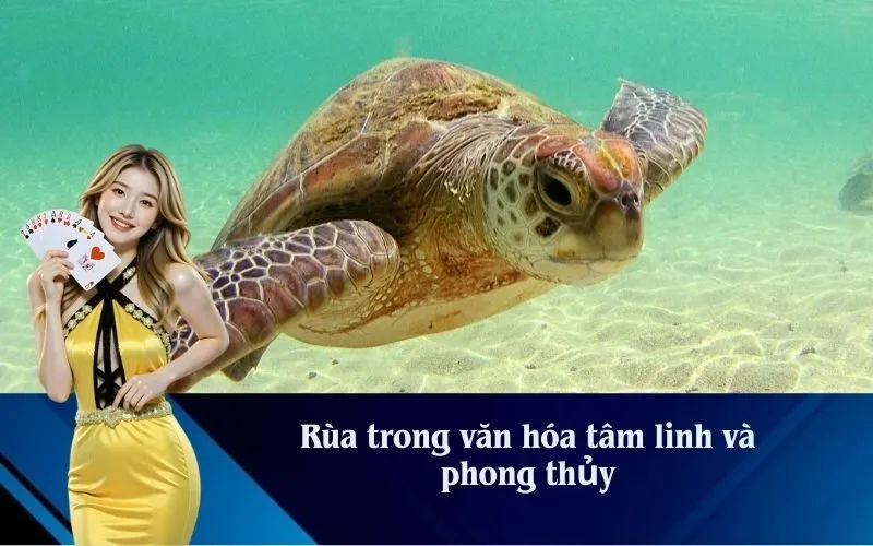 Rùa trong văn hóa tâm linh và phong thủy